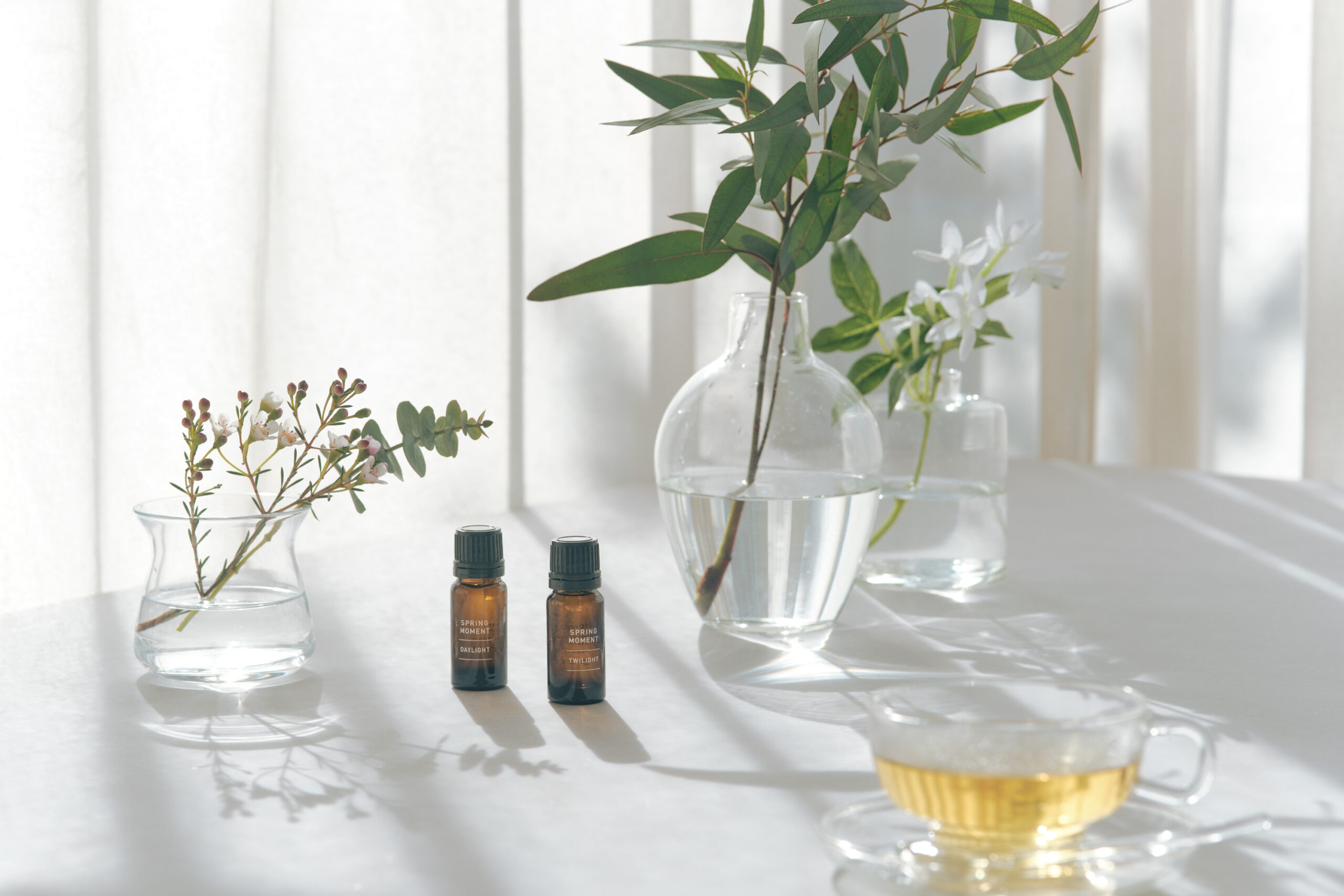 新発売｜春の気配で日常を彩る「SPRING MOMENT（スプリングモーメント）」　3/6(金)